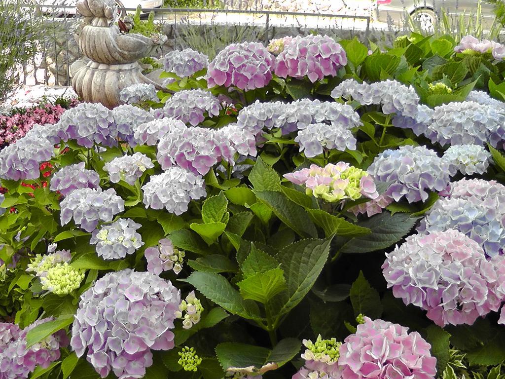 Lavanda 3 Njivice Ngoại thất bức ảnh